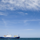Illustration for article titled Sailing Kite Saves 30% Fuel, Makes Whales and Dolphins Happy